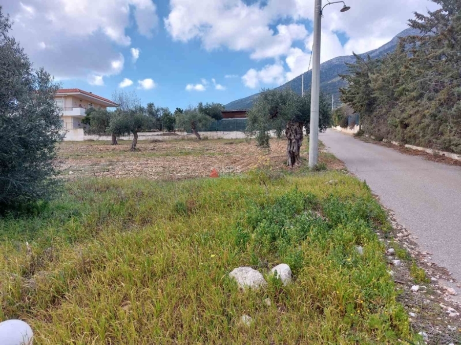 (For Sale) Land Agricultural Land  || East Attica/Paiania - 4.423 Sq.m, 45.000€