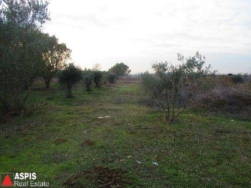 (For Sale) Land Plot || Thessaloniki Suburbs/Thermi - 6.453 Sq.m, 80.000€