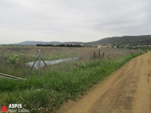 (For Sale) Land Agricultural Land  || Thessaloniki Suburbs/Thermi - 12.000 Sq.m, 150.000€
