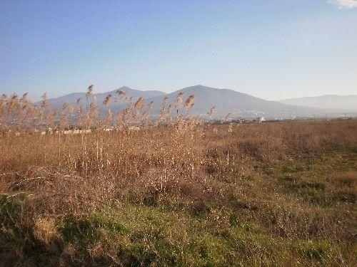 (For Sale) Land Plot || Thessaloniki Suburbs/Thermi - 8.750 Sq.m, 250.000€